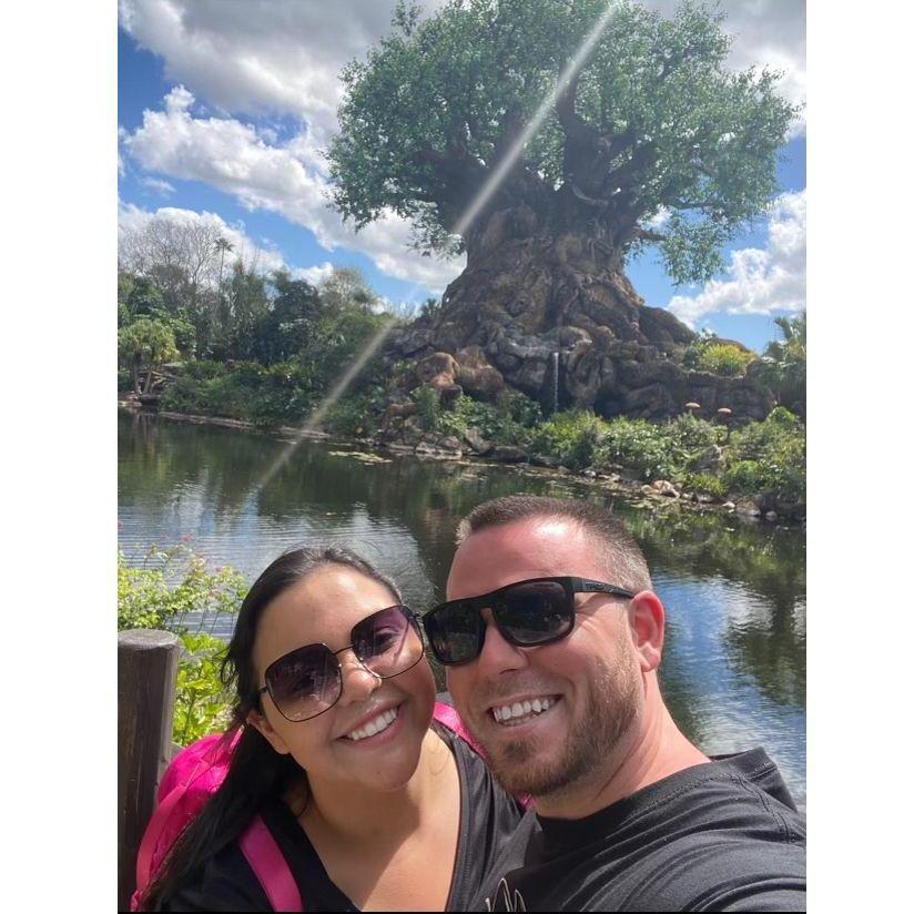 Visiting one of our favorite Disney parks, animal kingdom!