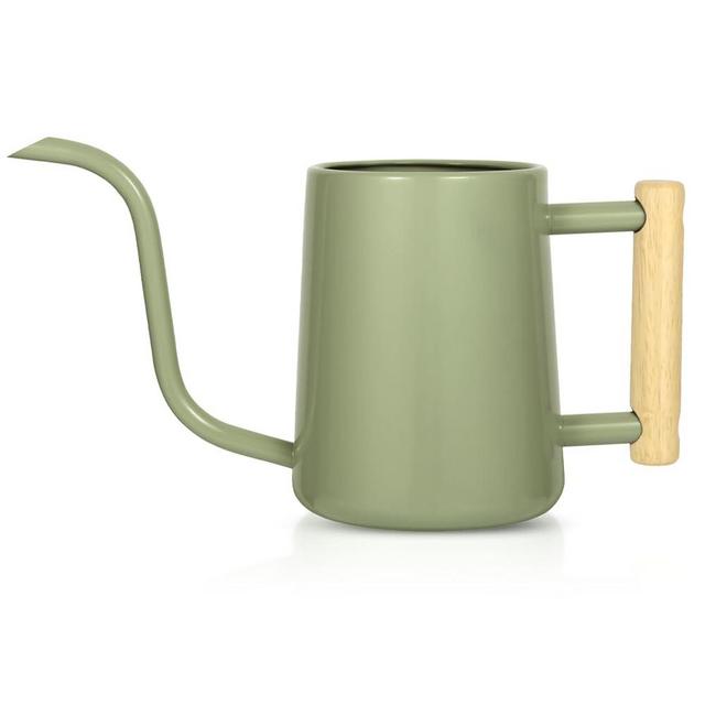 Watering Can Indoor Plants, 35 oz/1000 ml Metal Stainless Steel Watering Can Pot with Long Spout for Indoor House Plants Bonsai Outdoor Garden Flower Decorative (Sage Green)
