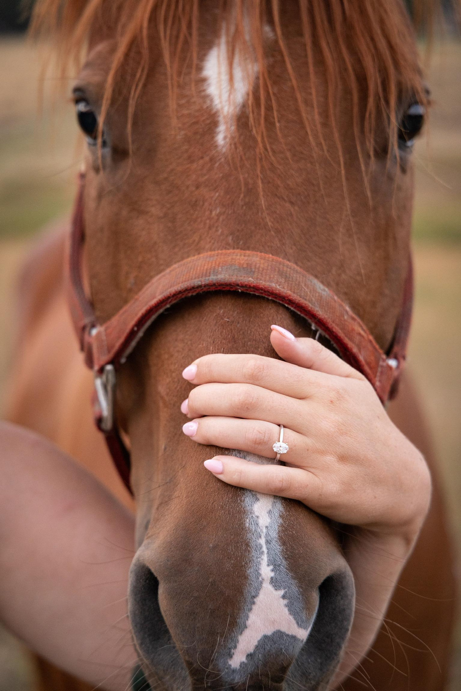 The Wedding Website of Calliana Bagnell and Tanner Miles