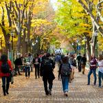 University City