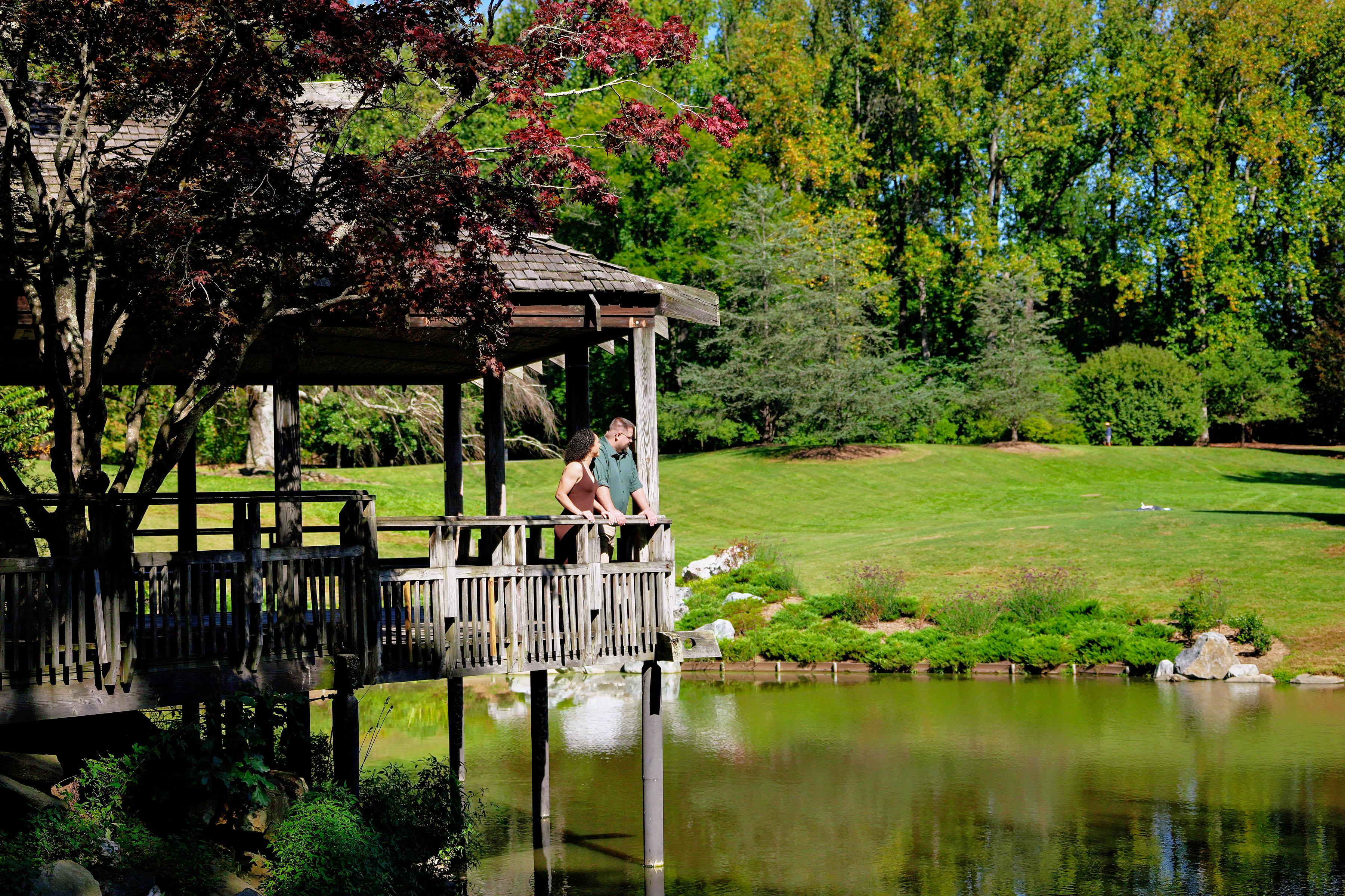 The Wedding Website of Rebecca Arocho and David Persons