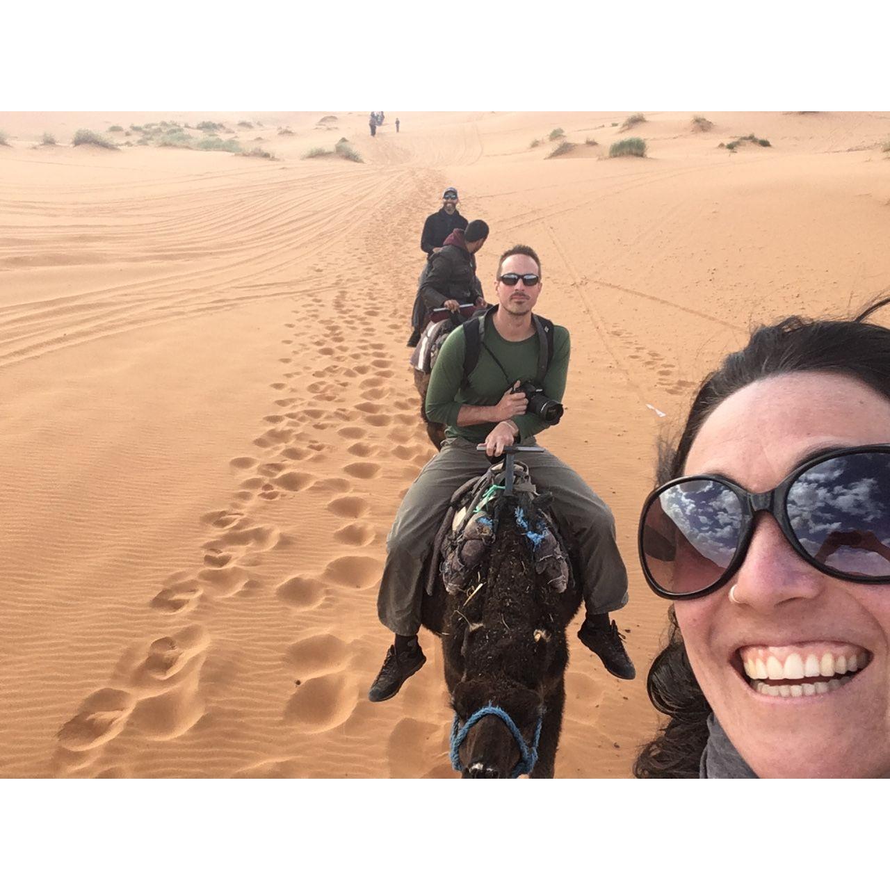 Not currently being tossed from the camel