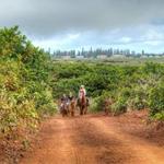 Horseback Riding