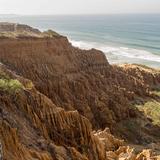 Torrey Pines State Natural Reserve