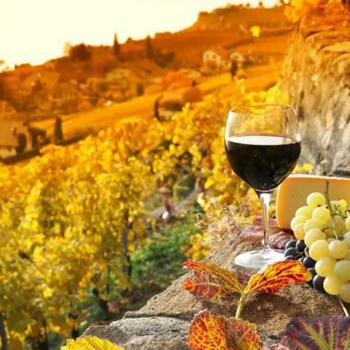 Honeymoon: Tuscany Wine Tasting Tour