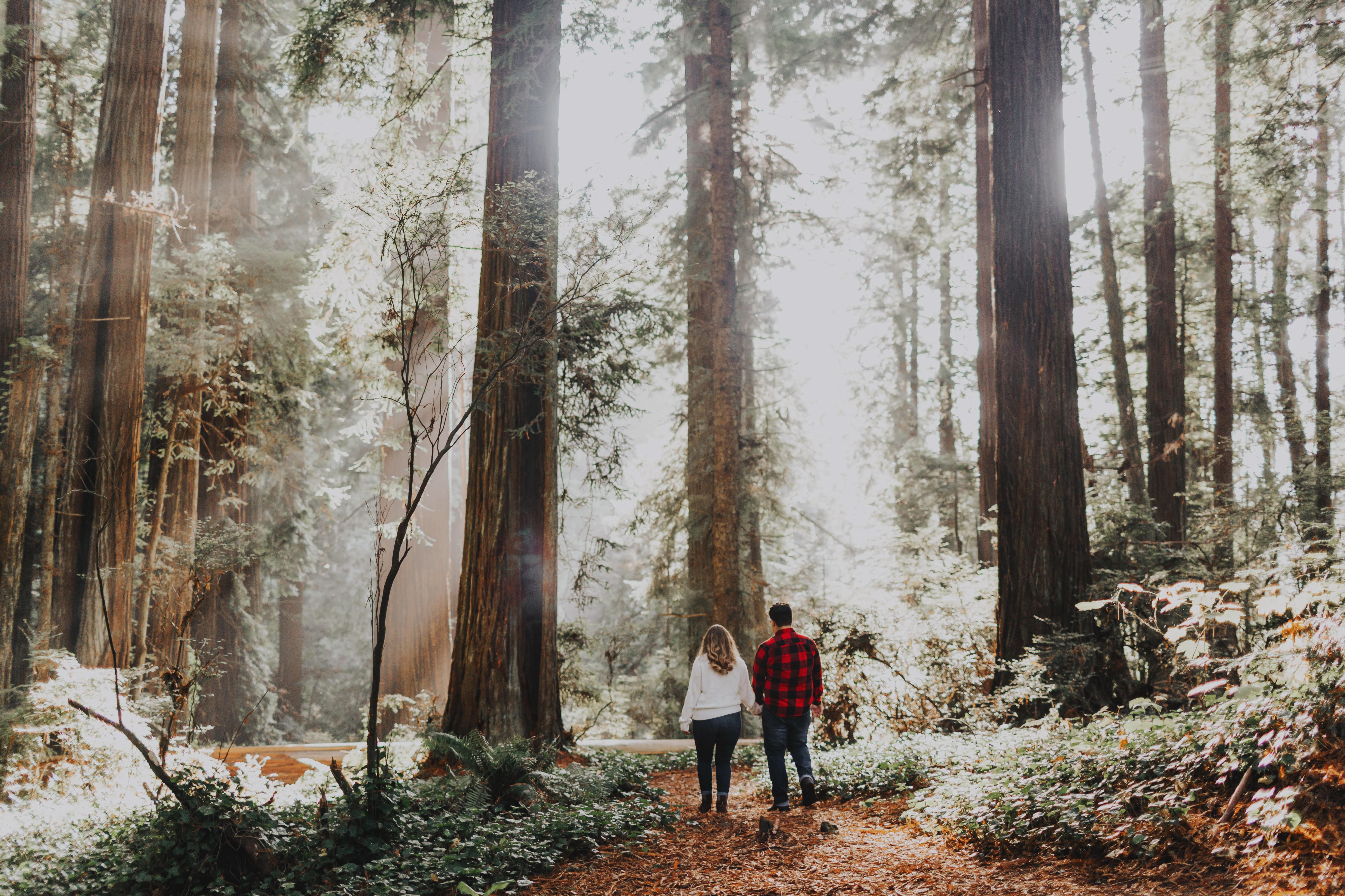 The Wedding Website of Andrew Romero and Isabella Sadler