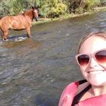 Saguaro Lake Guest Ranch