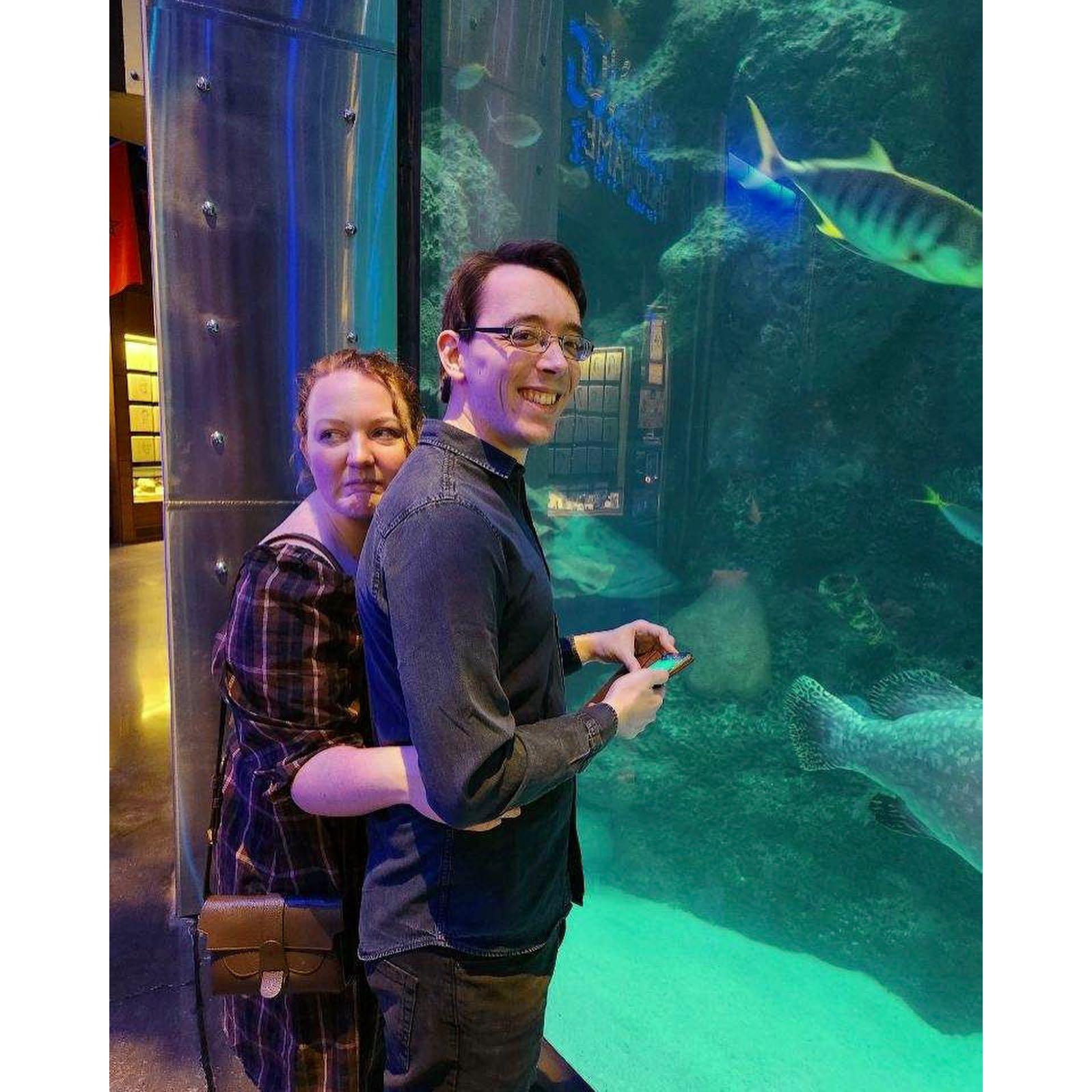 Because of grad school and Covid, it took a very long time to get Alex to Missouri. On his first trip, we went to Springfield's (incredible) aquarium. Unfortunately, Sam still doesn't like fish.