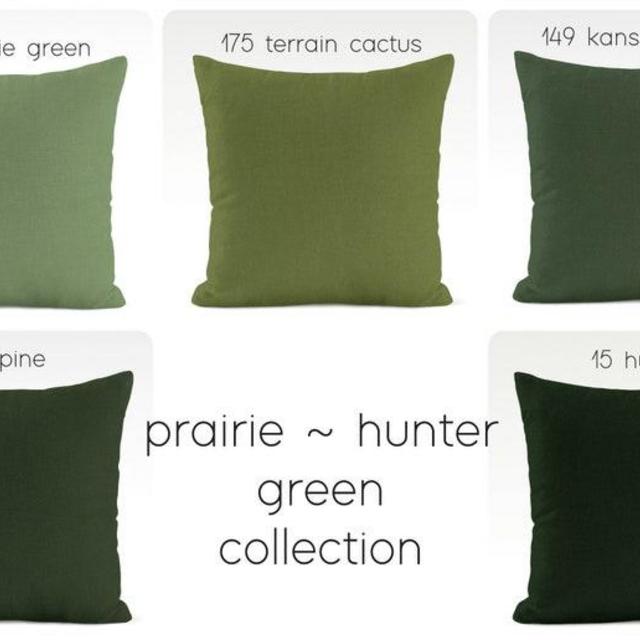 Cactus Green Euro Pillowcases
