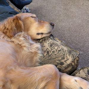 Couch Fund