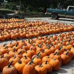 Brummer's Happy Breeze Farm