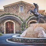 Black Stallion Winery