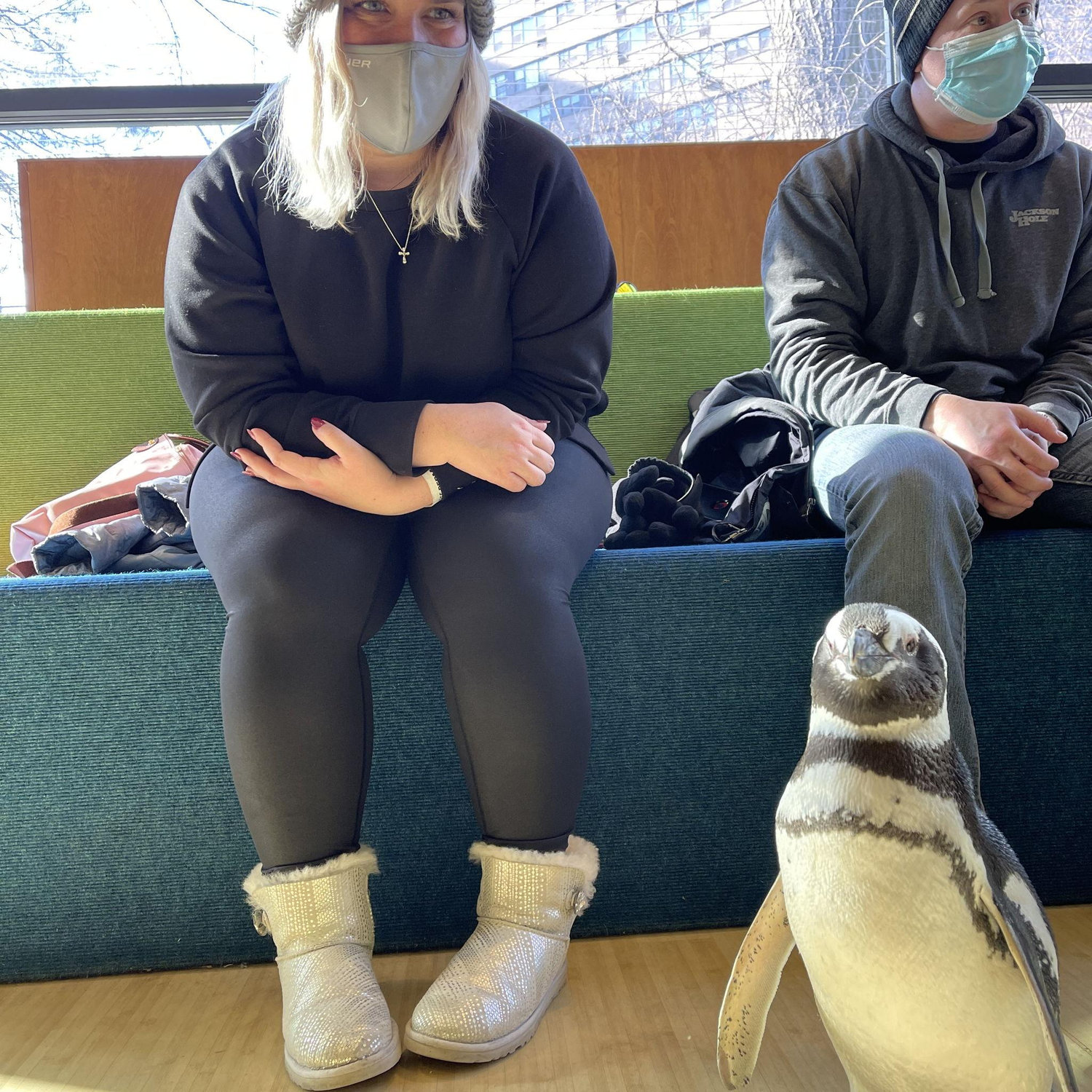 Valentine's Day at the Bronx Zoo with a Penguin Hang-out!