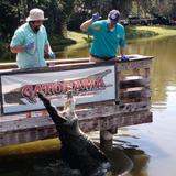 Gatorama Inc.