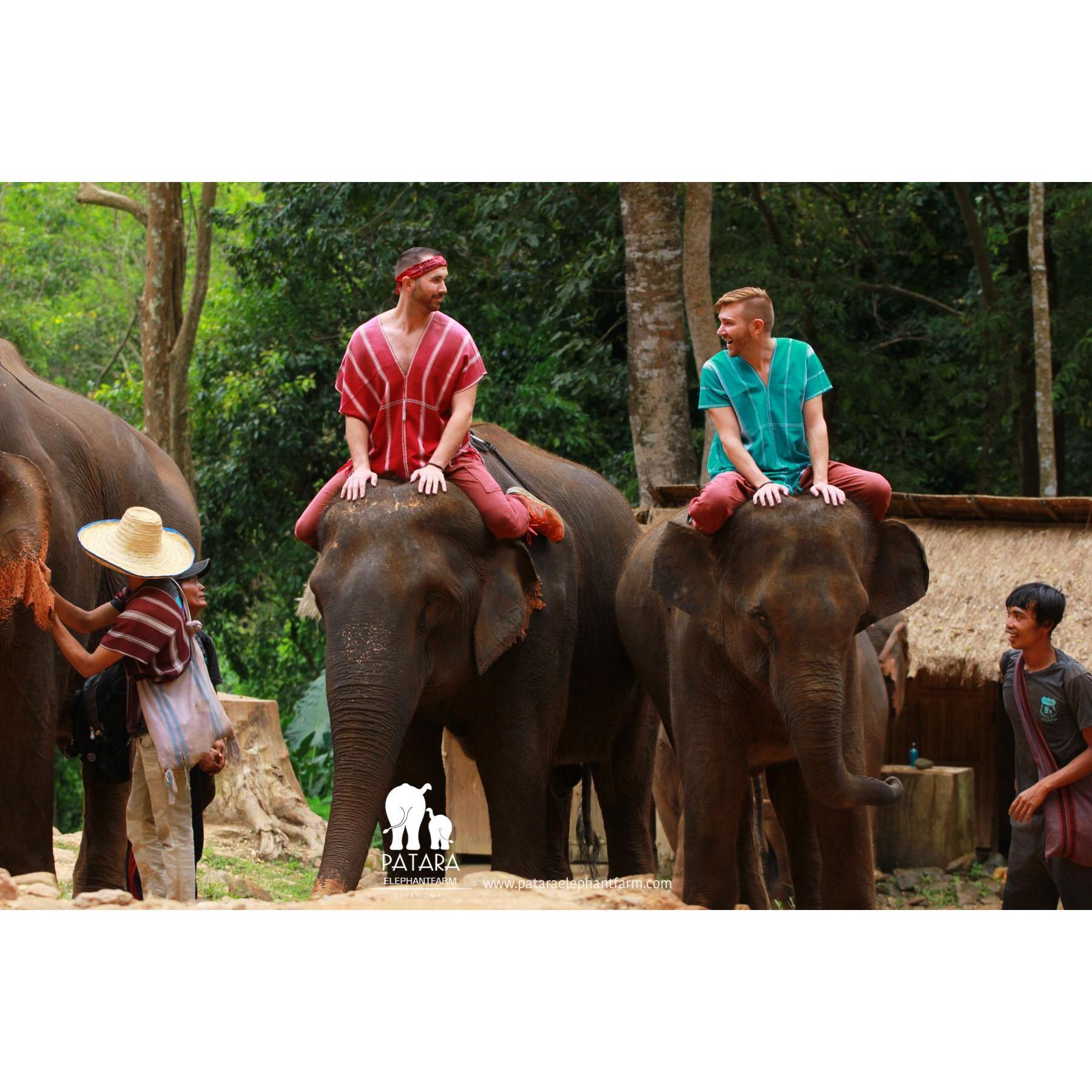 Elephant Love, Thailand