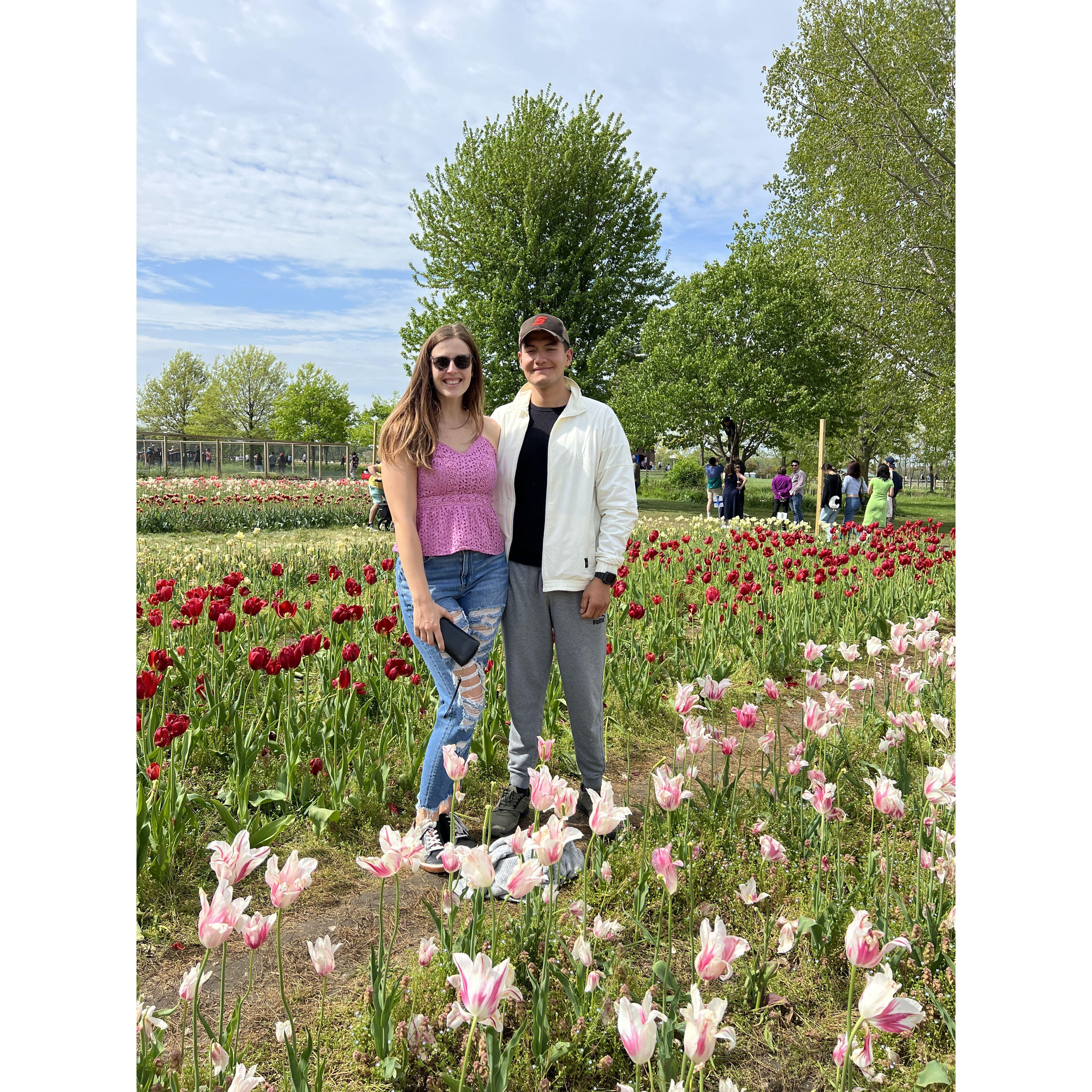 Tulip Festival in MI!