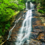 Pisgah National Forest