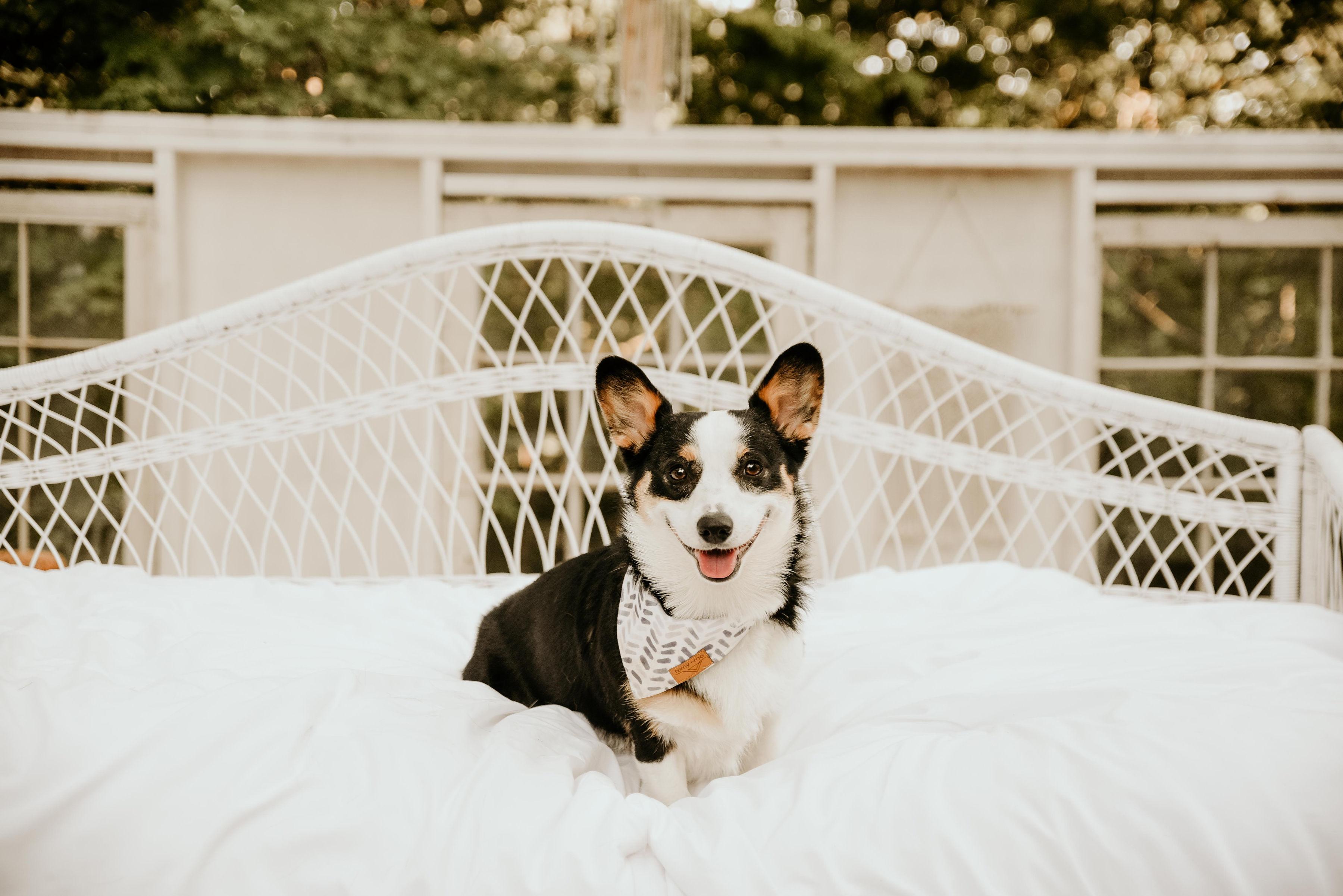 The Wedding Website of Taylor King and Jeffrey Warner