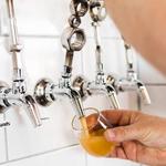 Little Thistle Brewing