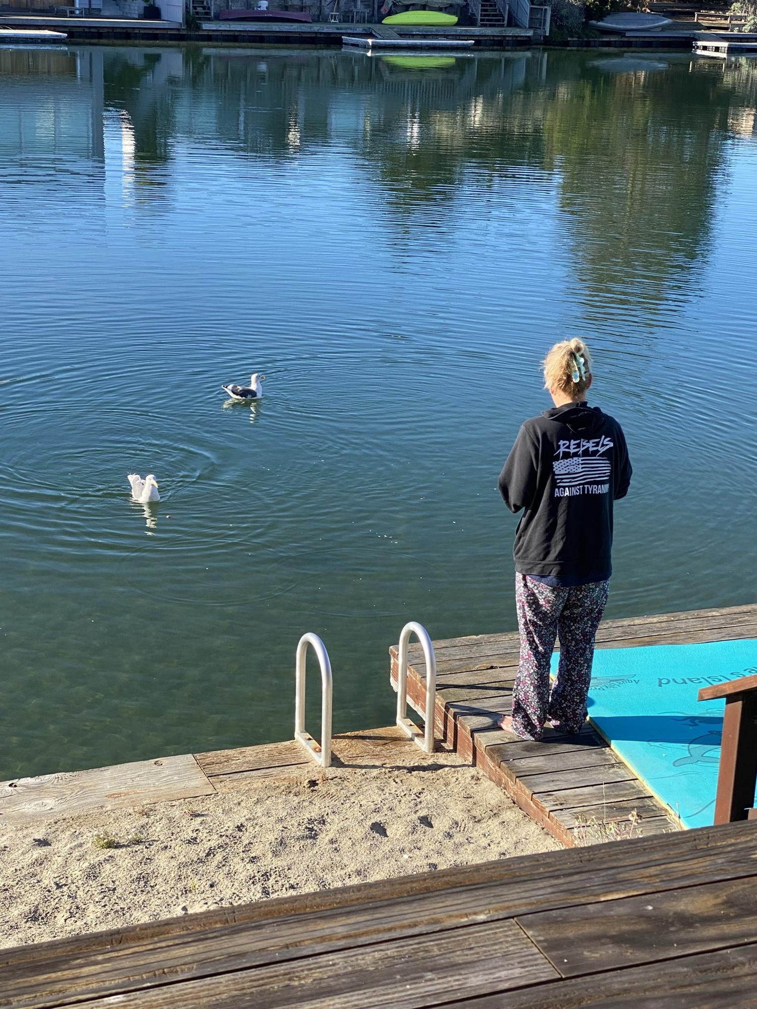 Jonathan (Livingston Seagull) and sexy Lexy … our seagull friends in Seadrift lagoon.