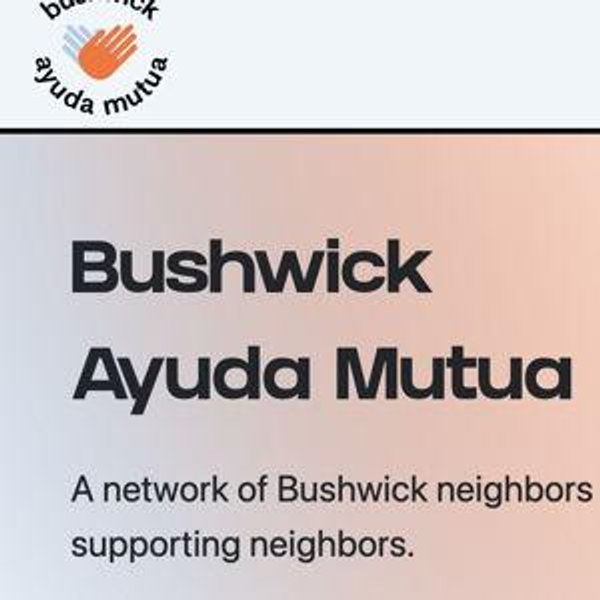 Donate to Bushwick Ayuda Mutua (mutual aid network in our neighborhood)