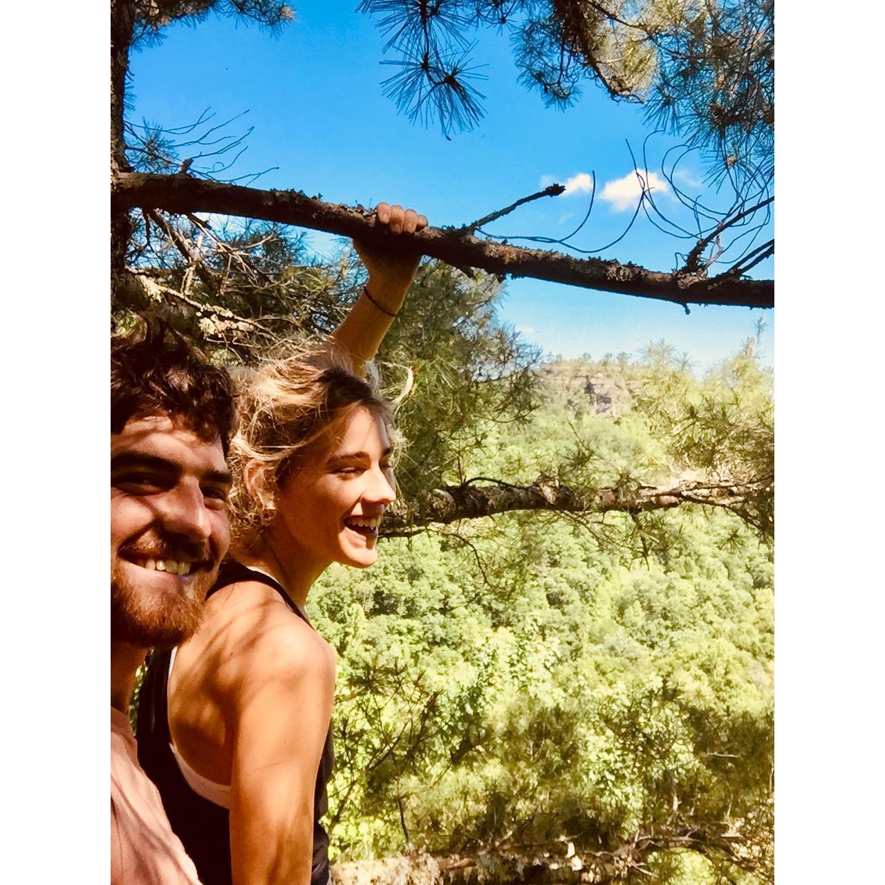 The first tree we climbed together 100ft up from the forest floor.