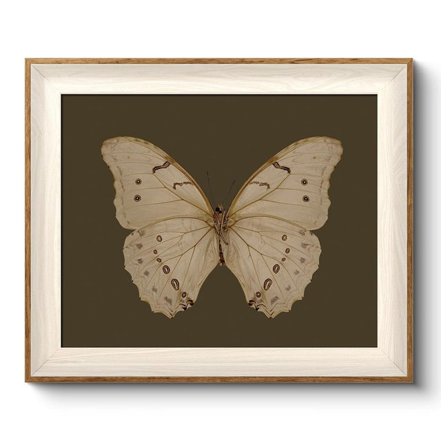 VIYYIEA Framed Butterfly Wall Art for Living Room, Vintage Cream Butterfly Canvas Painting, Rustic Nature Themed Picture Home Decor for Bathroom Bedroom Entryway, 10×12inch