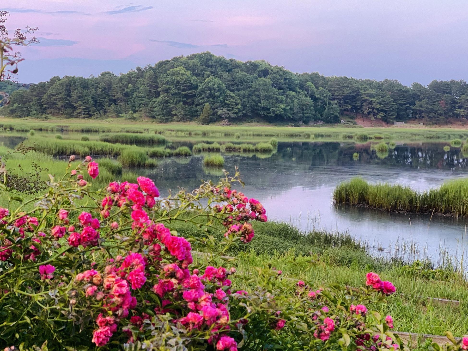 The Wedding Website of Megan Robbins and Derek Devlin
