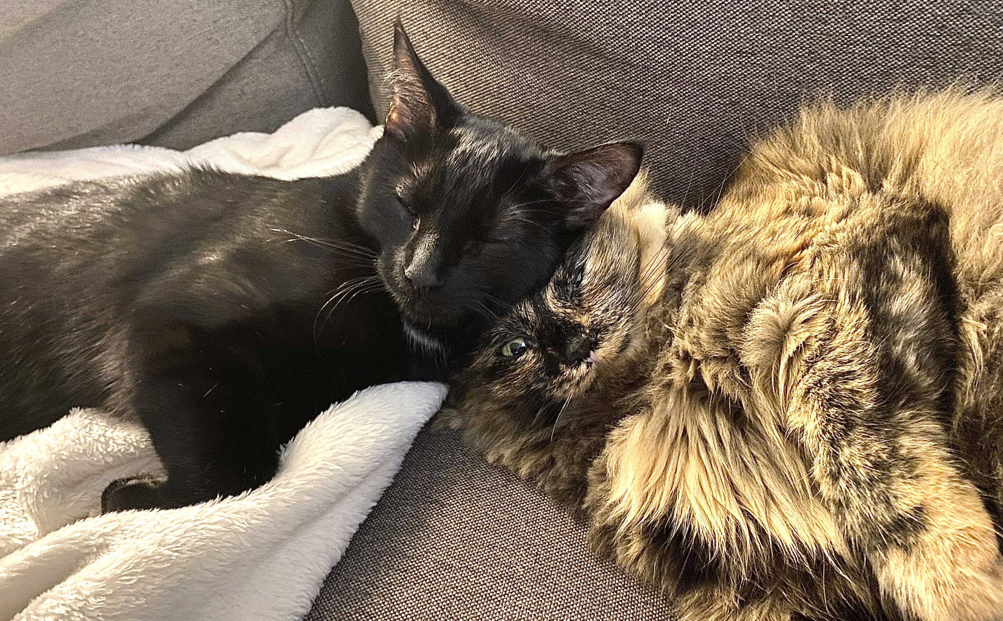 The Wedding Website of Allie Brooks and Seth Christianson