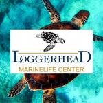 Loggerhead Marinelife Center