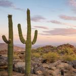 South Mountain Park and Preserve