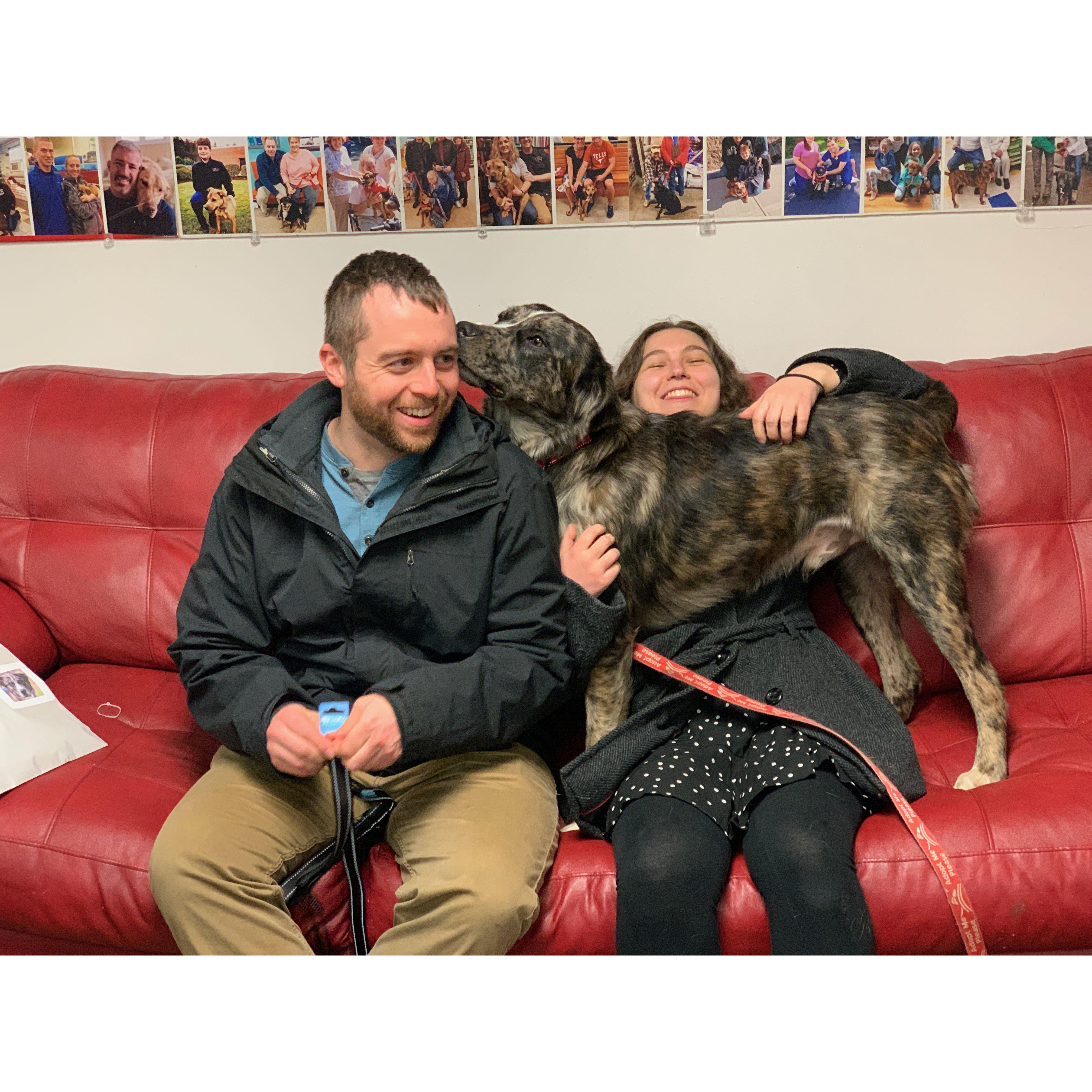 Love at first lick for Auggie 2023