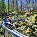 Wilderness Run Alpine Coaster