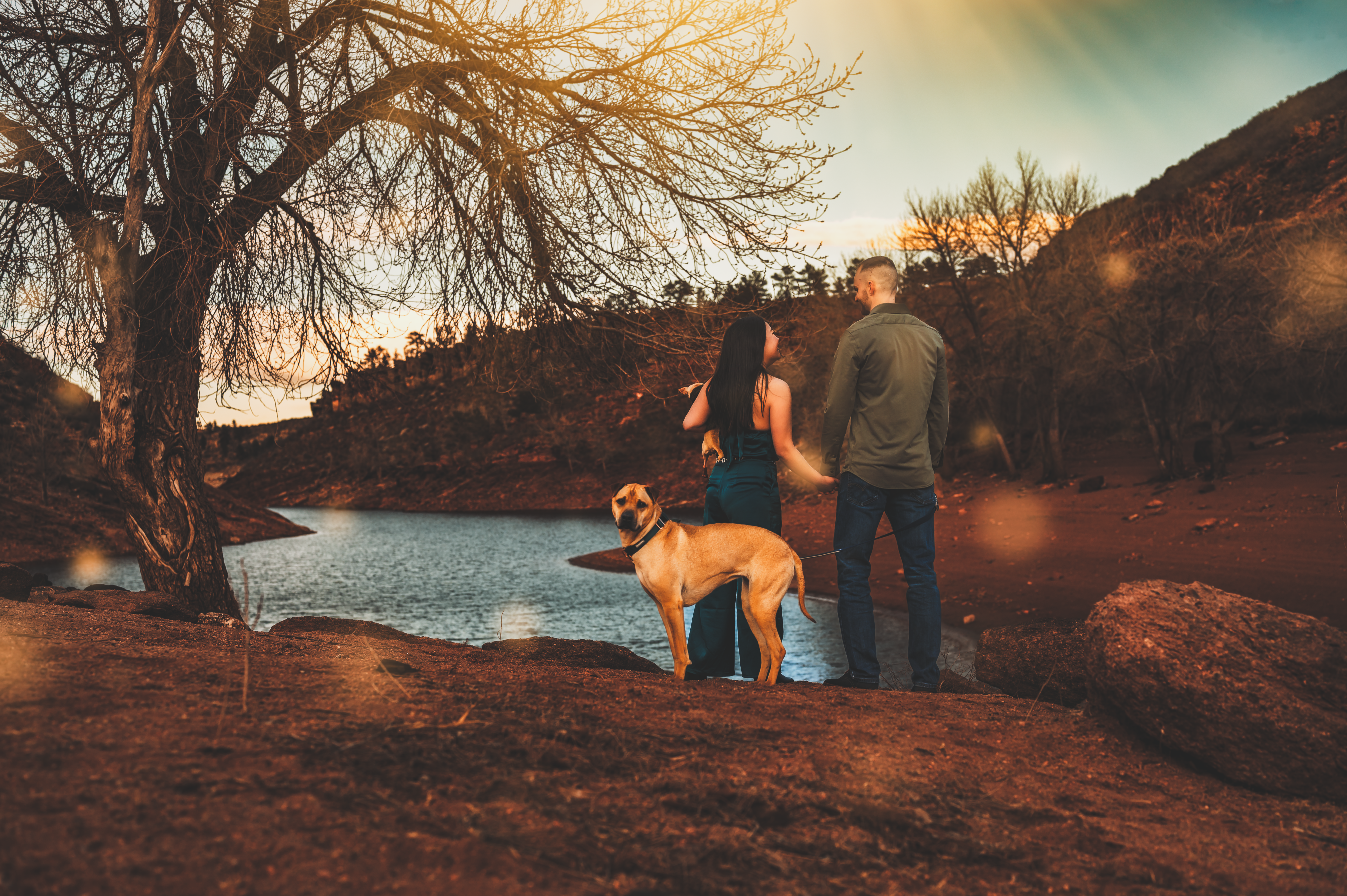The Wedding Website of Shannon Lu and Benjamin Mitchell