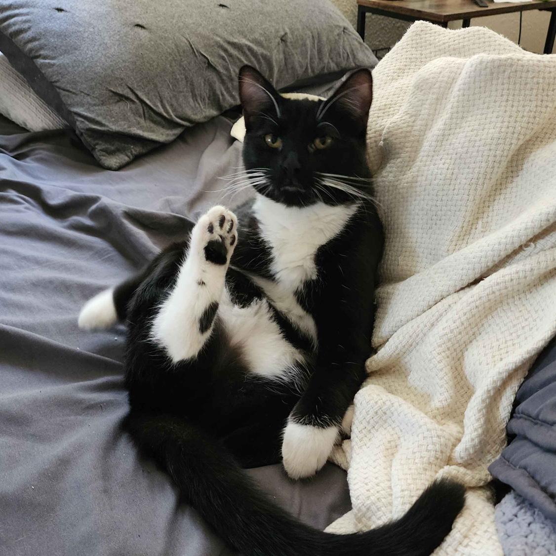 Amelie showing off the beans