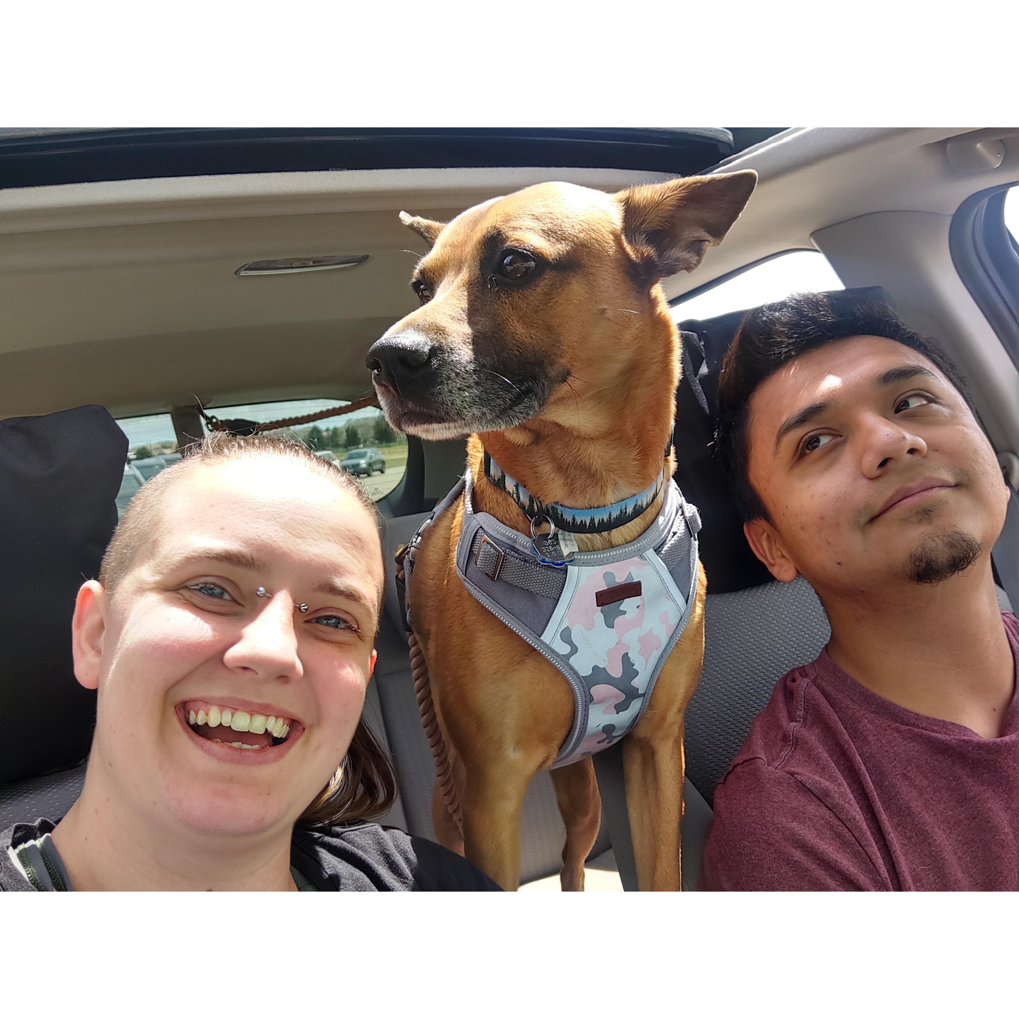 Taking the doggo for a trip!