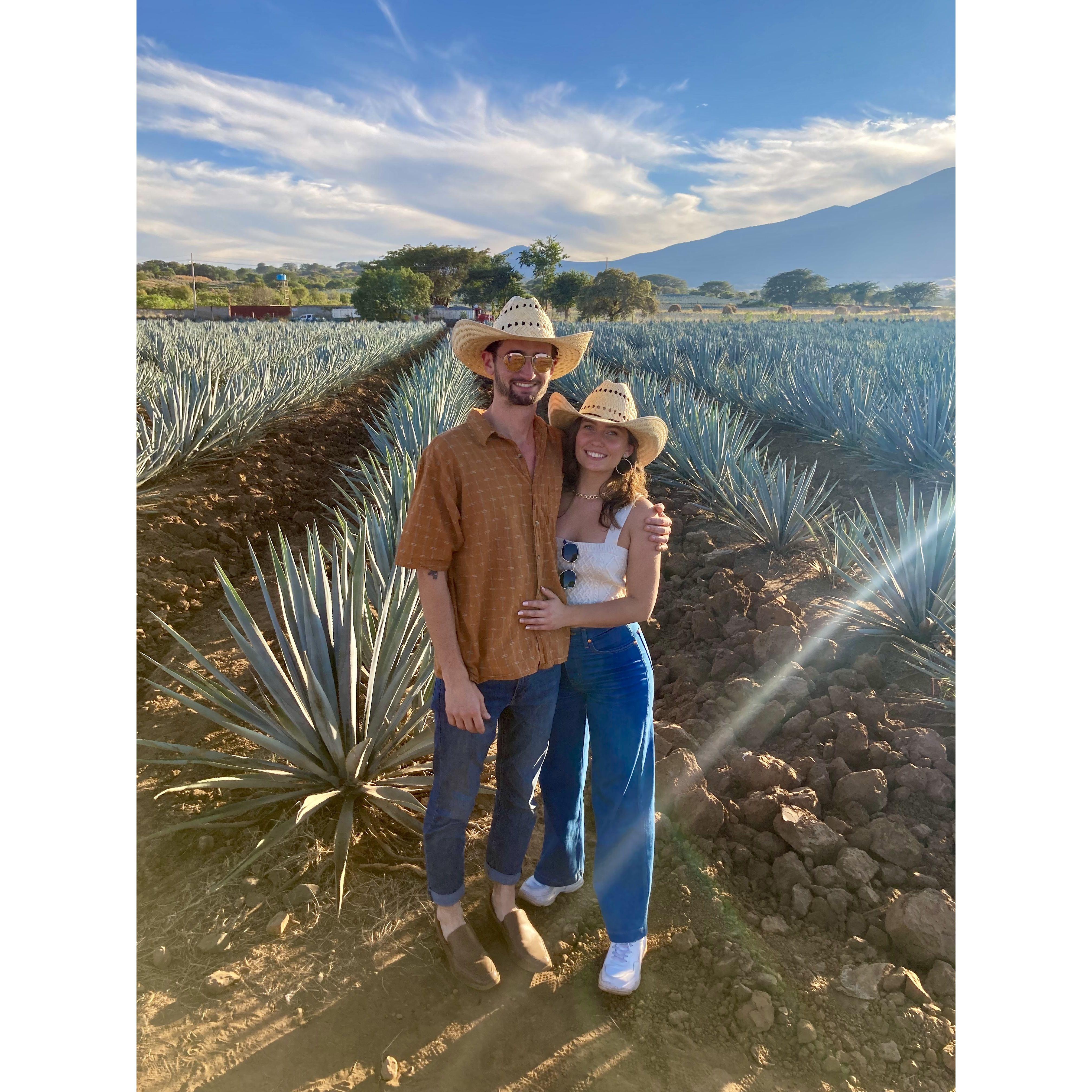 Tequila!