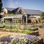 Quivira Vineyards