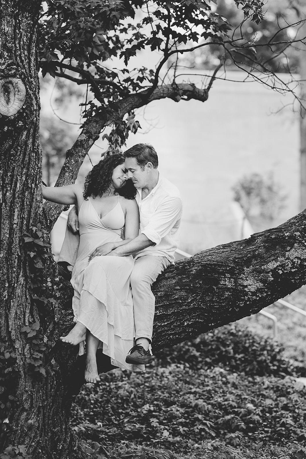 Love in a tree