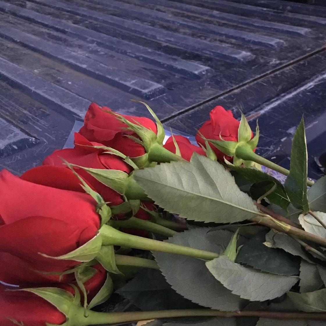 The first roses Riley gave me were on the night he asked me to be his girlfriend.