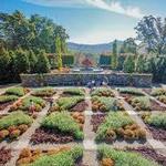 The North Carolina Arboretum