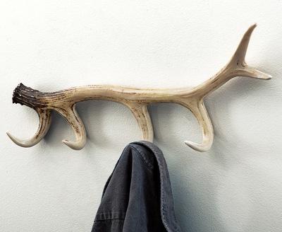 Antler Coat Rack