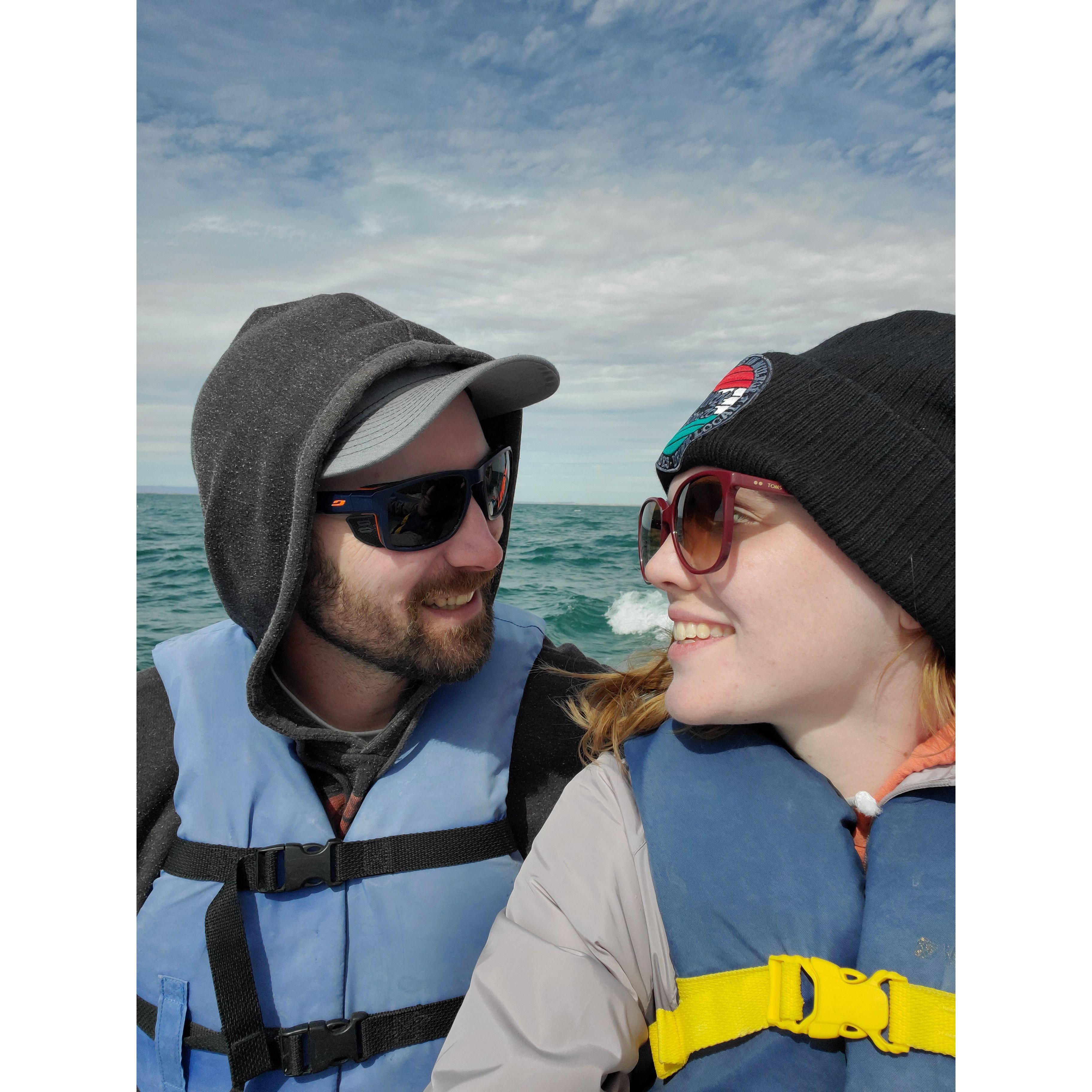 Whale watching!