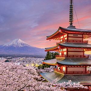 Plane Tickets to our honeymoon in Japan