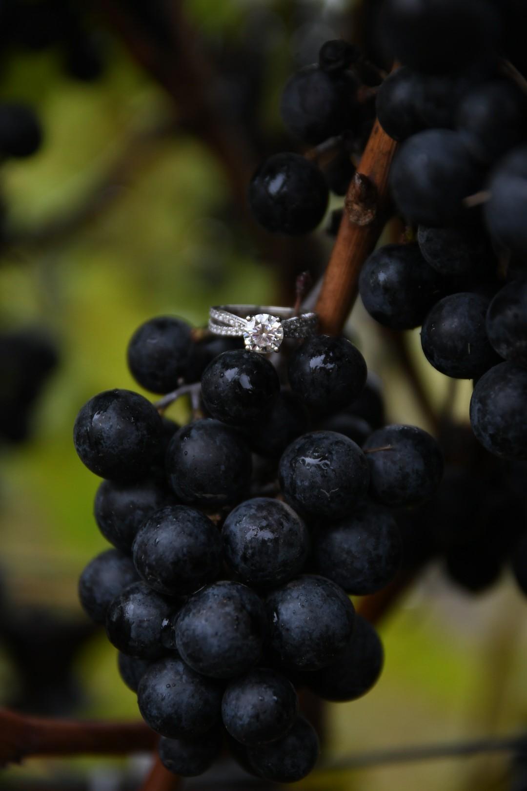The Wedding Website of Alex Martinez and Kristine Medlen