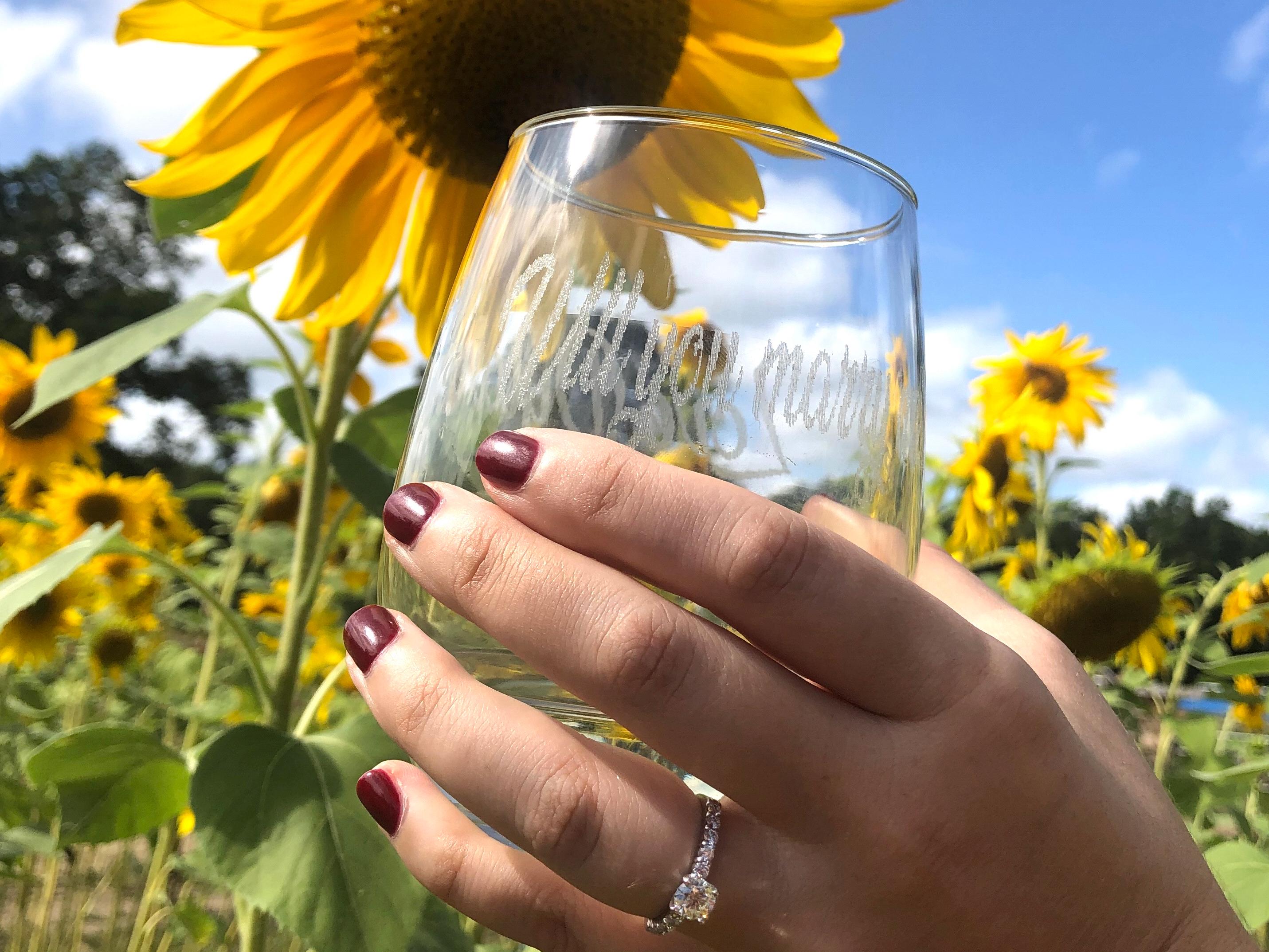 The Wedding Website of Cathryn Carmody and Dylan West