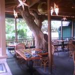 Buzz's Steakhouse
