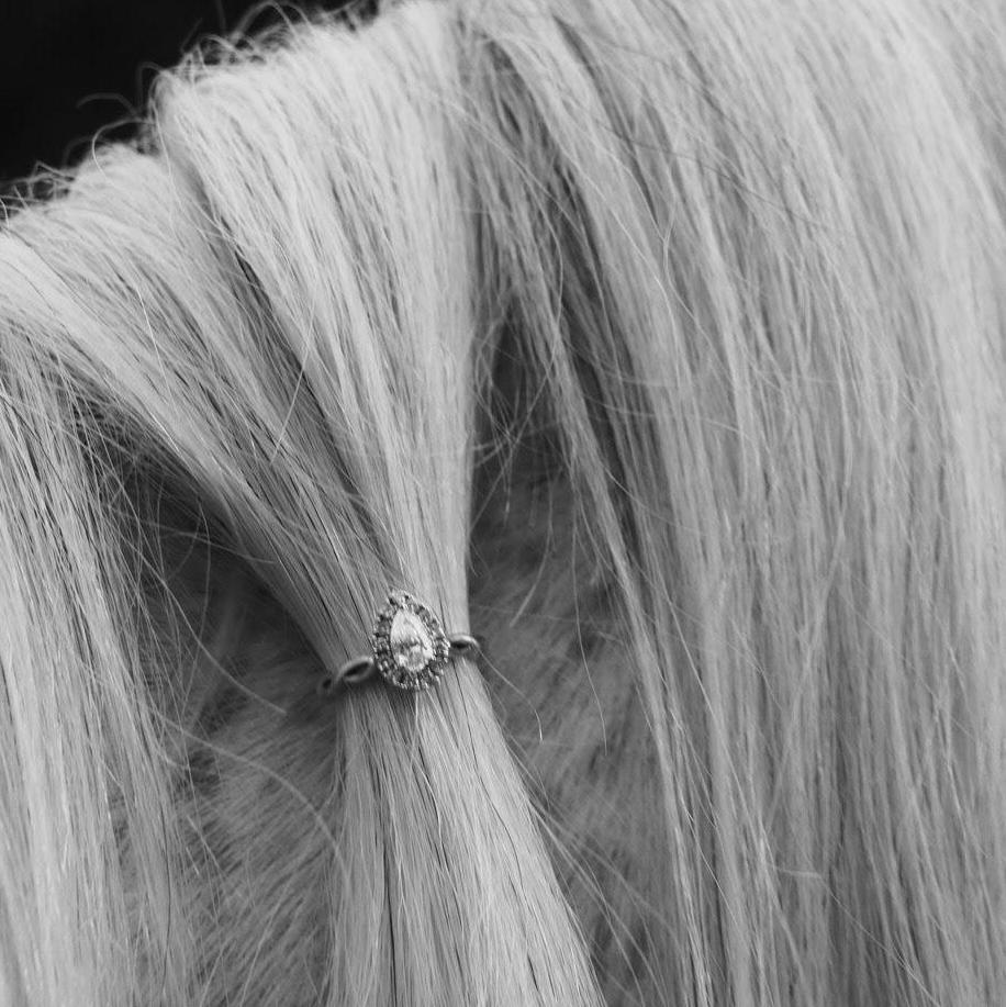 A beautiful picture of the engagement ring in Astro's mane!