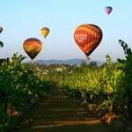 A Grape Escape Balloon Adventure