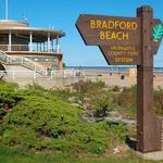 Bradford Beach